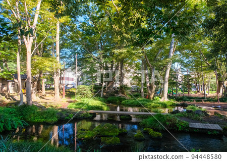 靜岡縣三島市白瀧公園 靜岡縣三島市白瀧公園 94448580