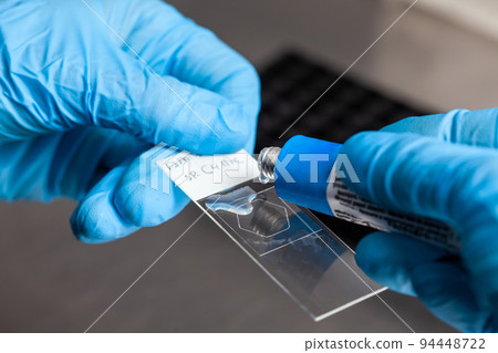 Scientist applying glue to the laboratory slide cover glass. Scientist preparing slides for karyotipe and fluorescence in situ hybridization - FISH in the laboratory. 94448722
