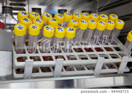 Test tubes with blood samples in the incubator during the process of preparation for karyotype and fluorescence in situ hybridization - FISH in the laboratory 94448725