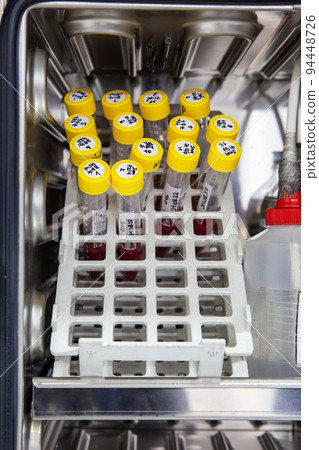 Test tubes with blood samples in the incubator during the process of preparation for karyotype and fluorescence in situ hybridization - FISH in the laboratory 94448726