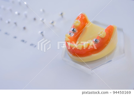 Plastic anatomical human jaw, demonstration model for education 94450169