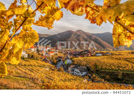 Church in Weissenkirchen village with autumn vineyards in Wachau valley, Austria, UNESCO 94451072