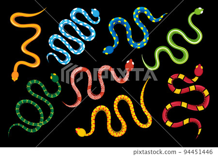 Colored snakes set. Dangerous exotic snakes. Tropical toxic reptile illustration. Wild poisonous rattlesnakes isolated on black background. 94451446