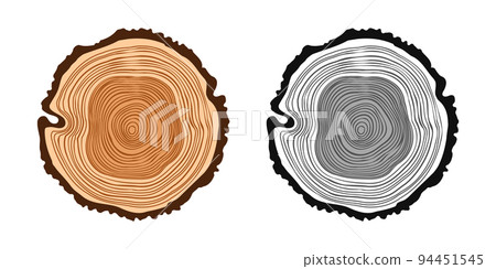 tree trunk cut icon vector illustration design Stock Vector Image