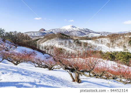 從草別公園到有珠山和昭和山新山草別町 從草別公園到有珠山和昭和山新山草別町 94452314