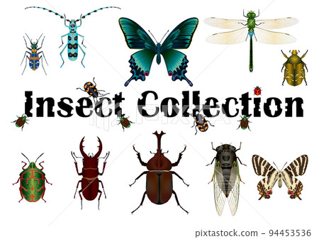 bug, hexapod, insect 94453536