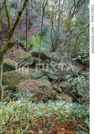 天石立神社的巨石滾動 94453901