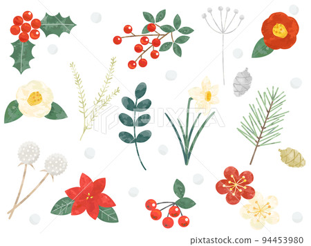 一套帶有冬季植物形象的插圖 一套帶有冬季植物形象的插圖 94453980