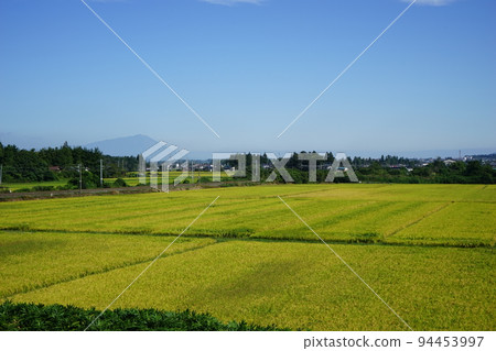 貫穿稻田的東北本線 94453997