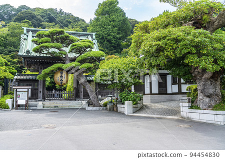 [神奈川縣]綠蔭和金燈籠環繞的長谷寺門 94454830