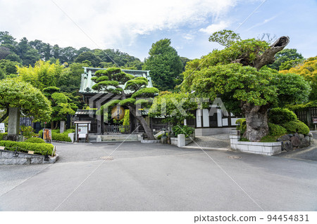 [神奈川縣]綠蔭和金燈籠環繞的長谷寺門 94454831