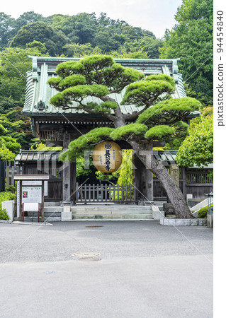 [神奈川縣]綠蔭和金燈籠環繞的長谷寺門 94454840