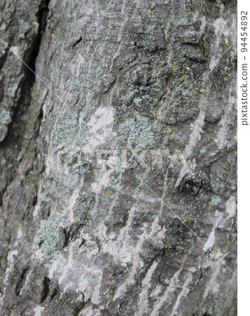 Wooden surface Wooden surface 94454892