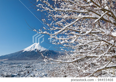 從雪中的新倉山淺間公園看到的富士山，山梨縣富士吉田市 94455408