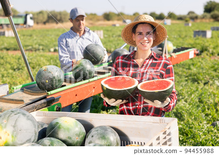 Portrait of smiling woman plantation worker with two halves of ripe watermelon Portrait of smiling woman plantation worker with two halves of ripe watermelon 94455988