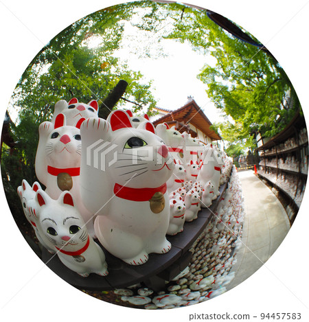Lucky Cat Lucky Cat 94457583