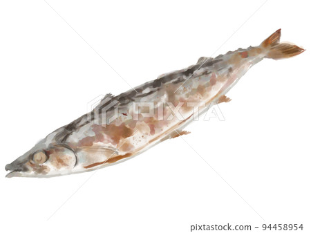 Hand-painted grilled saury 01 94458954