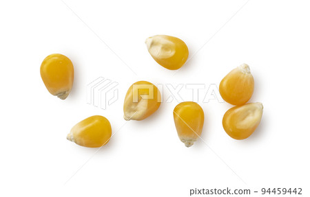 幹玉米 幹玉米 94459442