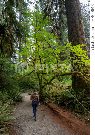 Young woman on Hoh Rain Forest trail in Olympic National Park, Washington. 94460048