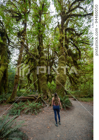 Young woman on Hoh Rain Forest trail in Olympic National Park, Washington. Young woman on Hoh Rain Forest trail in Olympic National Park, Washington. 94460050