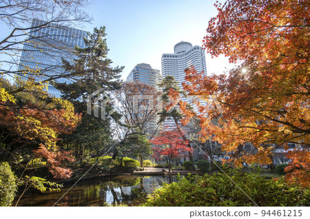 Skyscrapers wrapped in autumn leaves, Kiyomizudani Park, autumn leaves, Kioicho, Chiyoda-ku, Tokyo 94461215