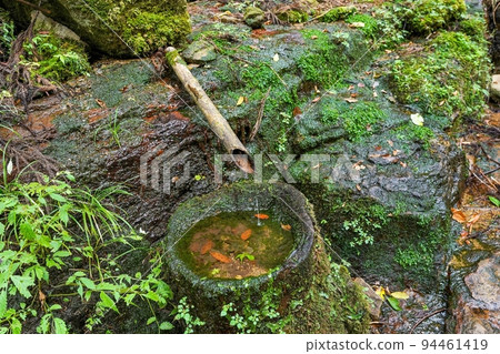 Moss-covered natural chozubachi at Akame Shijuhachi Falls @ Mie 94461419