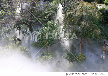 Aromatic Tokyo Sea of Clouds at the traditional Japanese gardens of the Chinzanso Luxury Hotel in Tokyo Japan 94461762