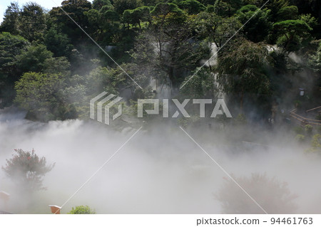 Aromatic Tokyo Sea of Clouds at the traditional Japanese gardens of the Chinzanso Luxury Hotel in Tokyo Japan 94461763