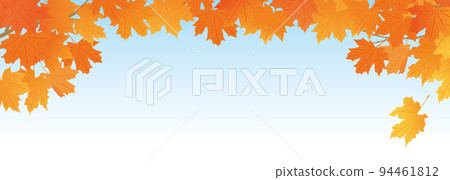楓葉背景藍天頂背景 94461812