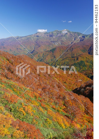 錦州白山 94462193