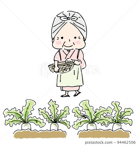 Old-fashioned grandmother who grows vegetables Old-fashioned grandmother who grows vegetables 94462506