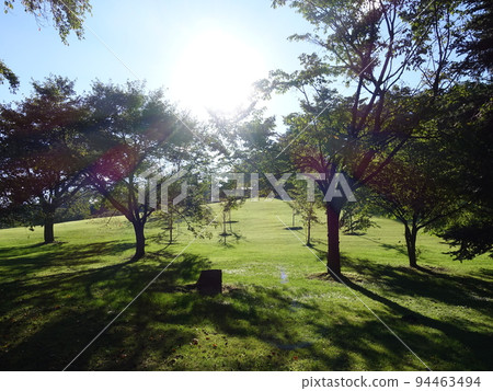 Wild Grass Garden Yamagata City Wild Grass Garden Yamagata City 94463494