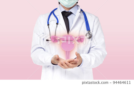 doctor holding virtual uterus or womb human organ 94464611
