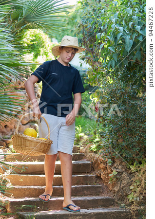 boy with a basket of melons 94467228