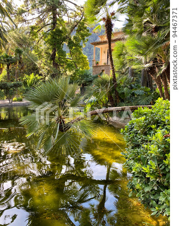 beautiful garden in Mallorca beautiful garden in Mallorca 94467371