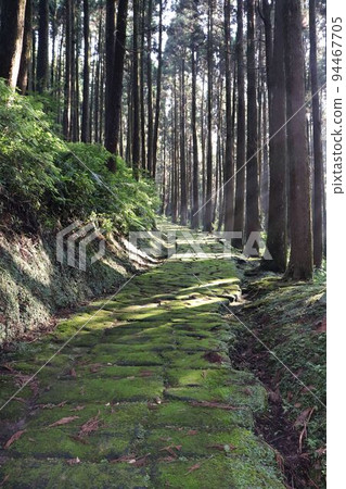 Cobblestone of Dragon Mosasaka Cobblestone of Dragon Mosasaka 94467705