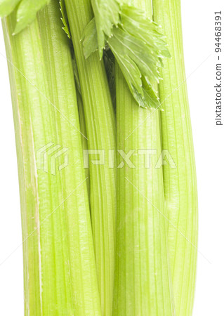 Fresh celery isolated on white background 94468391