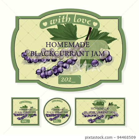 Label for homemade jam. Currant jam packaging. Vector currant Label for homemade jam. Currant jam packaging. Vector currant 94468509