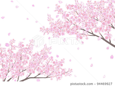 裝飾背景-櫻花 94469927