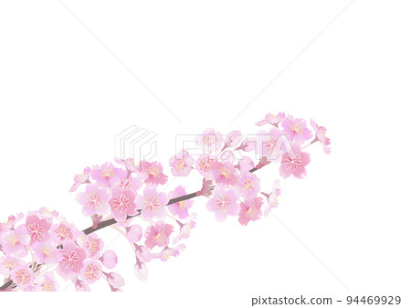 裝飾背景-櫻花枝 94469929