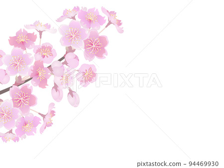 裝飾背景-櫻花枝向上 94469930