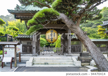 [Kanagawa Prefecture] Hasedera temple gate surrounded by greenery and golden lanterns 94470414