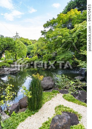 [Kanagawa Prefecture] A pond in the precincts of Hasedera surrounded by greenery 94470455