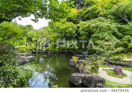 [神奈川縣]長谷寺境內的池塘，綠意盎然 94470456