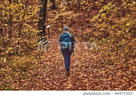 Autumn forest hiking path between trees 94471587