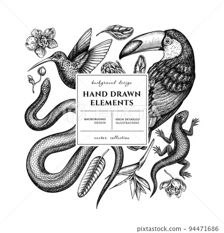 Tropical animals square card or invitation design. Frame design with snake, lizard, hummingbird, toucan, strelitzia, protea, phalaenopsis. Tropical animals square card or invitation design. Frame design with snake, lizard, hummingbird, toucan, strelitzia, protea, phalaenopsis. 94471686
