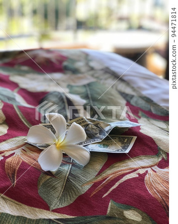 夏威夷酒店小費 94471814