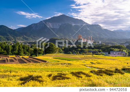 《埼玉縣》秋天的寺坂梯田和武子山秩父 94472058