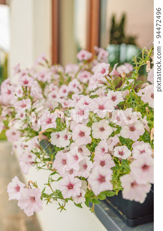 Beautiful style window decorated with light summer flowers in Poland 94472496
