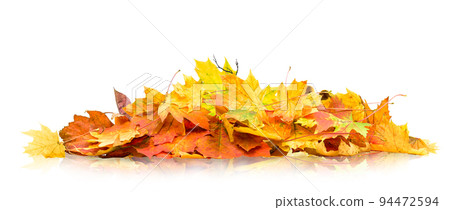pile of autumn leaves isolated on white background pile of autumn leaves isolated on white background 94472594